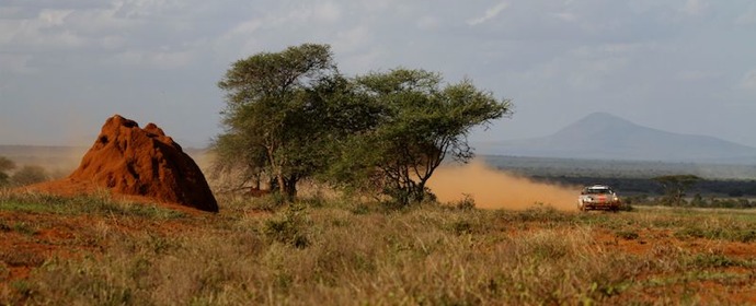 Porsche 911 Africa Rally picture