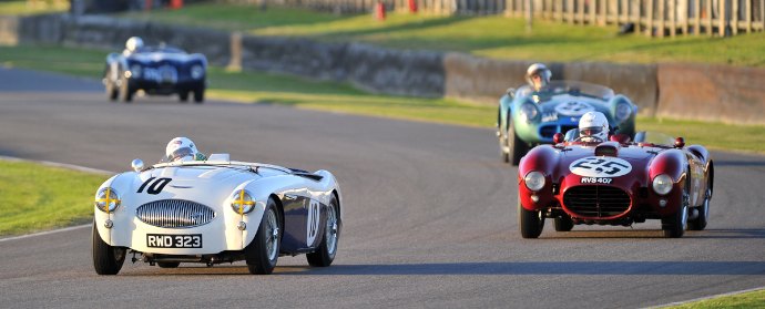 Austin-Healey 100S and Lancia D24 TIM SCOTT