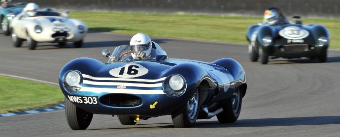 Jaguar D-Type TIM SCOTT