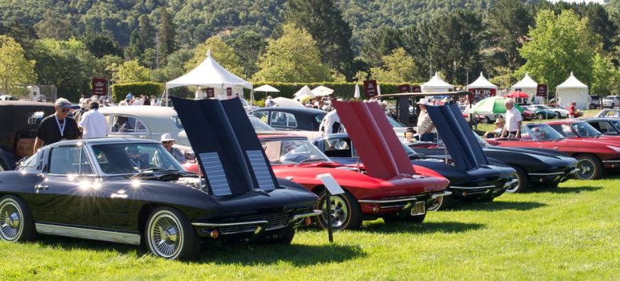 Corvettes. DennisGray