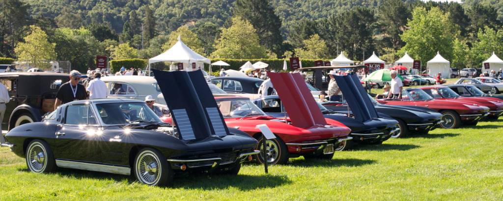 Corvettes. DennisGray