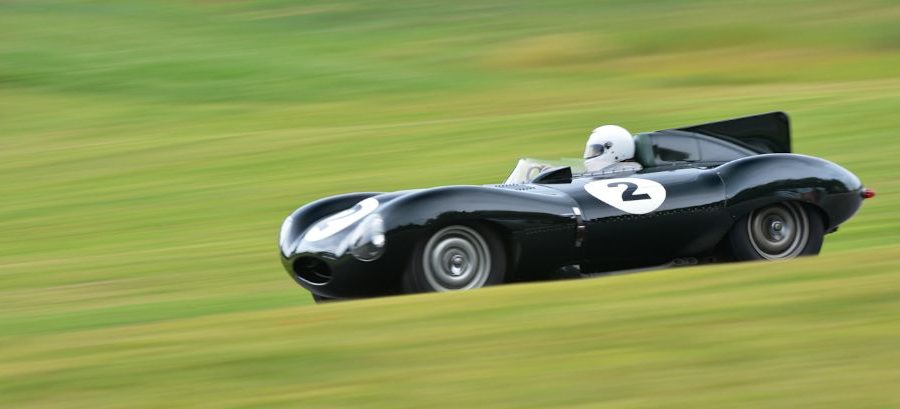 1955 Jaguar D-Type. MDiPleco