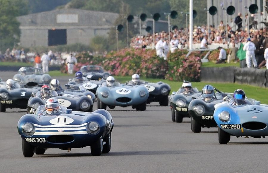 Jaguar D-Type Race - 2014 Goodwood Revival TIM SCOTT