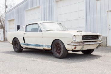 Shelby_rightfront