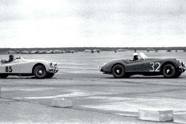 Jaguars at Suffolk County, NY. Photo: Pete Lyons www.petelyons.com