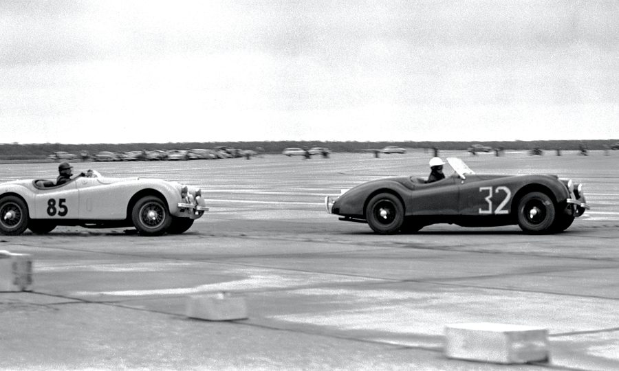 Jaguars at Suffolk County, NY. Photo: Pete Lyons www.petelyons.com