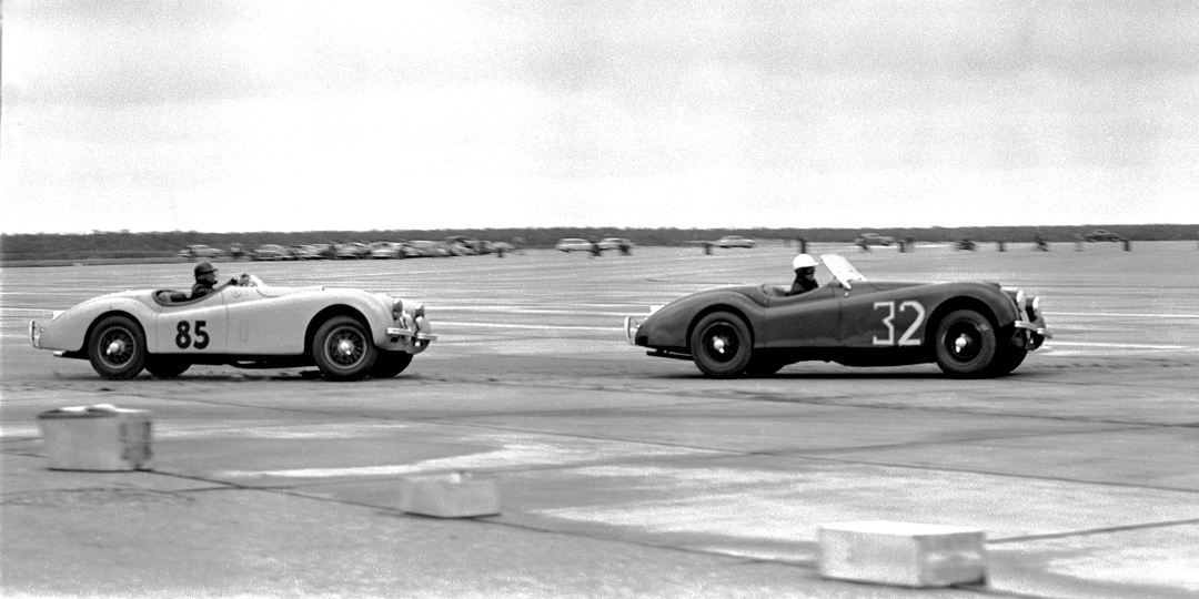 Jaguars at Suffolk County, NY. Photo: Pete Lyons www.petelyons.com