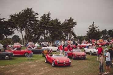 Alfa Romeo's on the green