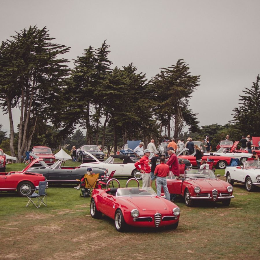 Alfa Romeo's on the green