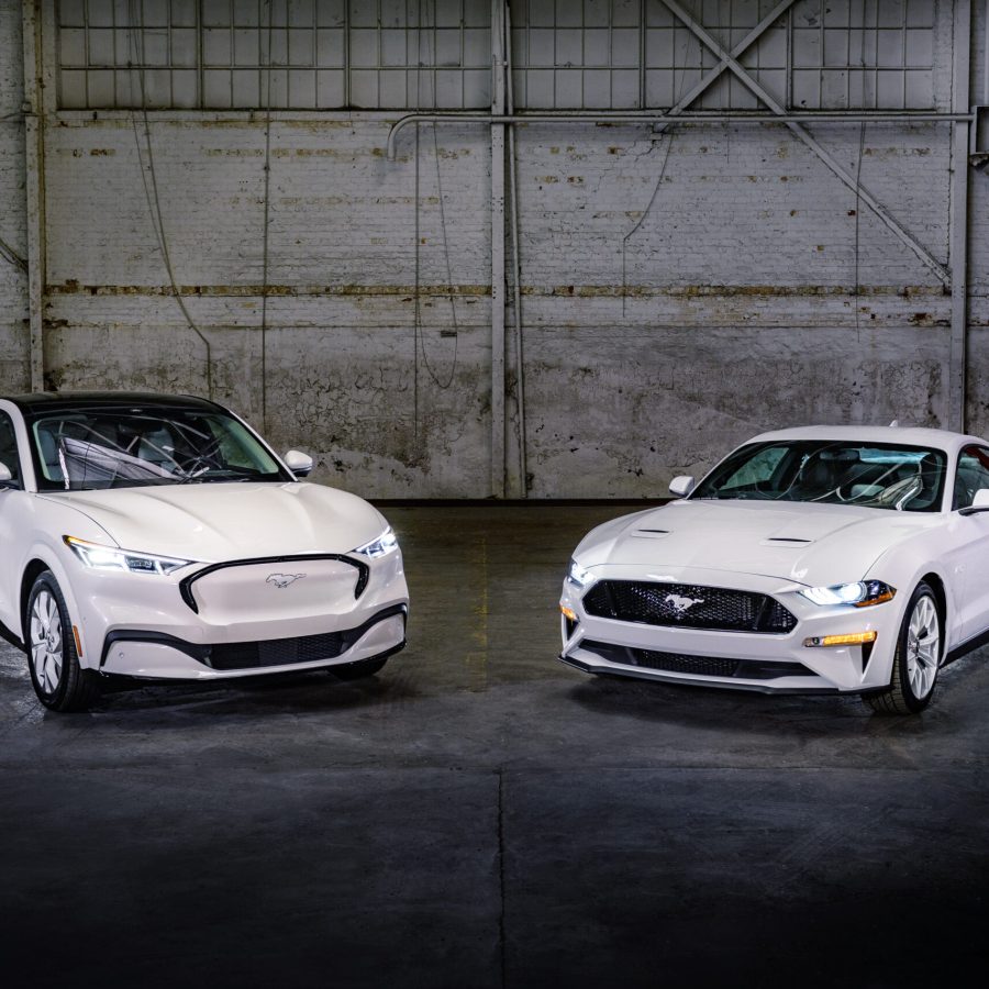 Mustang Family Ice White Appearance Package