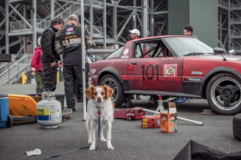 Team Magnum Pies mascot (1984 Mazda Rx7)